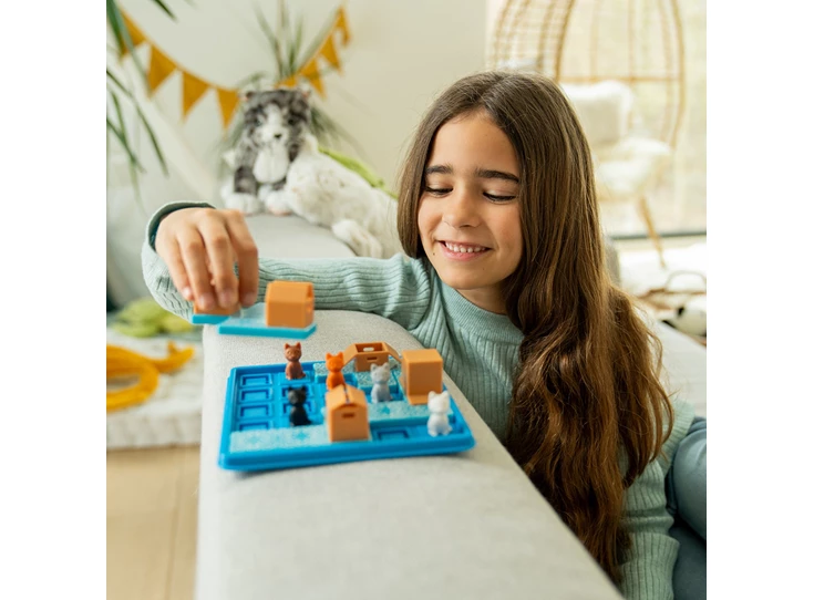 Cats-Boxes-60-opdrachten-