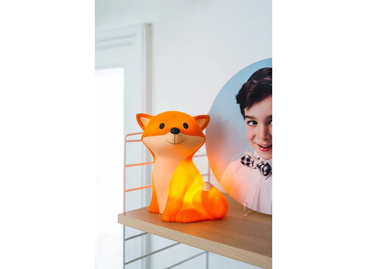 Cesar-Fox-Led-Lichtje-USB-recharge-H-20-x-18-x-15-cm