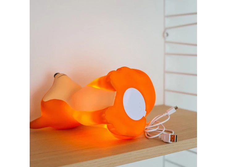 Cesar-Fox-Led-Lichtje-USB-recharge-H-20-x-18-x-15-cm