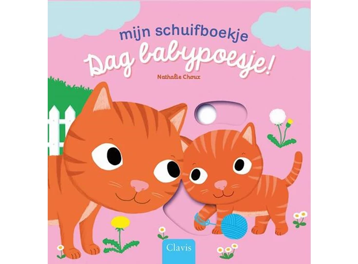 Choux-Mijn-schuifboekje-Dag-Babypoesje