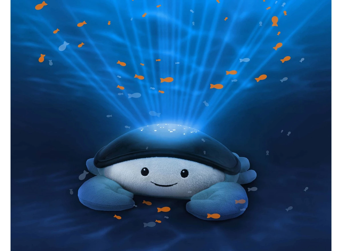 Cody-Ocean-Projector