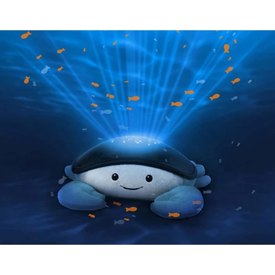 Cody-Ocean-Projector