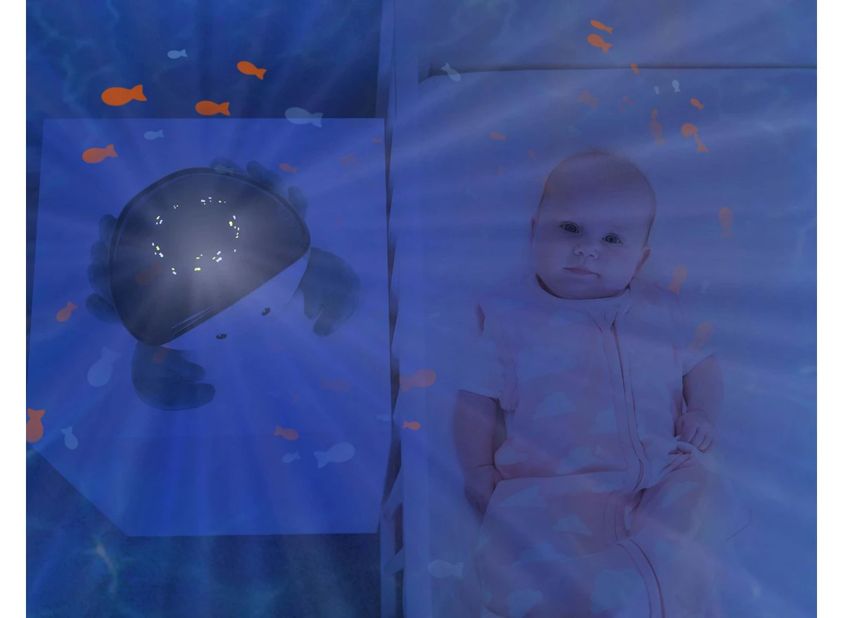 Cody-Ocean-Projector