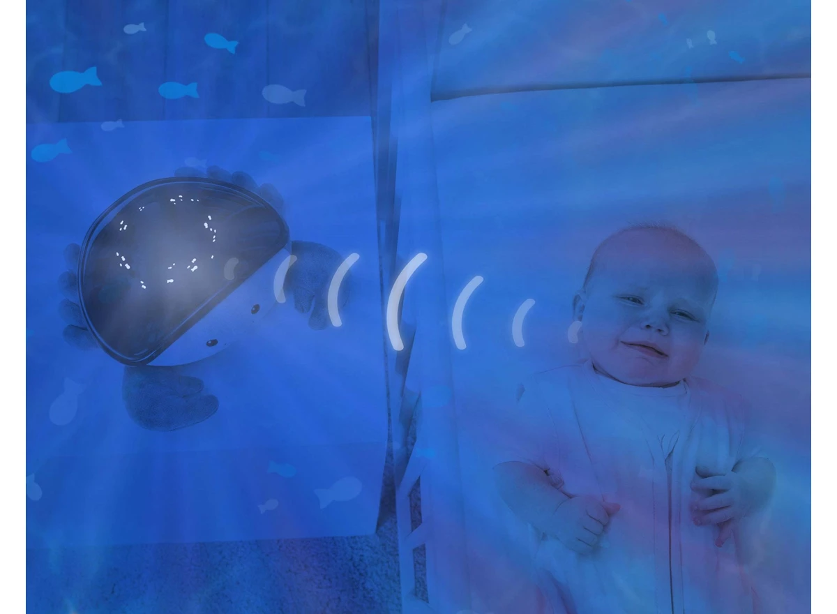 Cody-Ocean-Projector