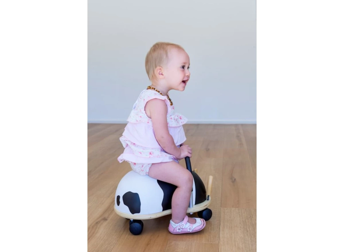 Cow-Small-1-3-j