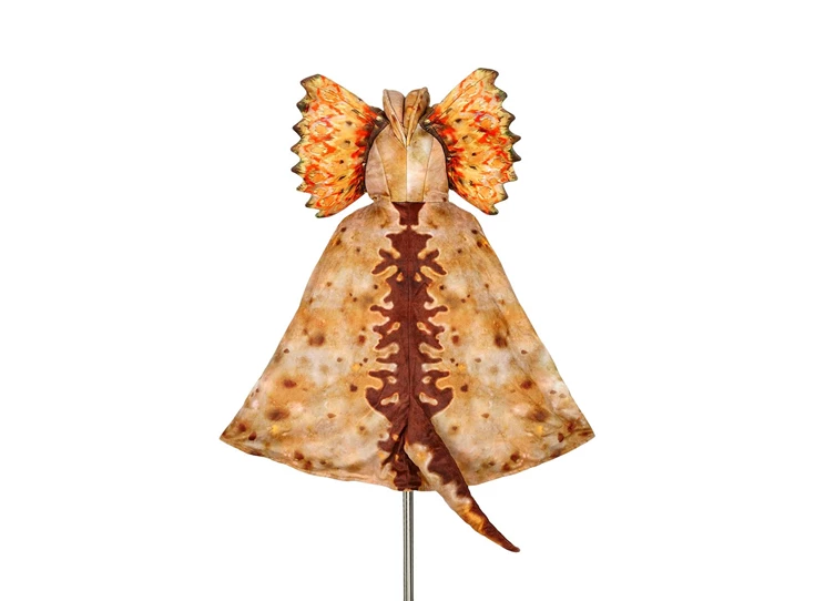 Dilophosaurus-cape-4-7-jaar-104-122-cm