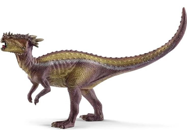 Dracorex