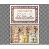 Drieling-Baby-Muis-in-Luciferdoosje