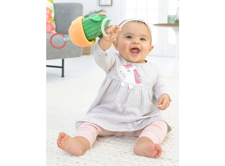 Farmstand-Jitter-Cactus