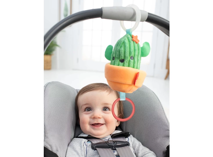 Farmstand-Jitter-Cactus