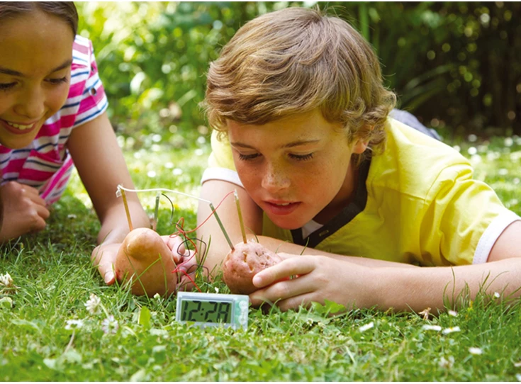 Green-Science-Potato-Clock