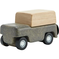 Grijze-Auto