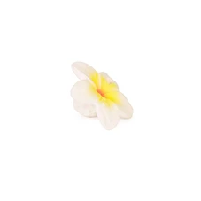 Hawaii-de-Bloem-Mini-Baby-Bijtring