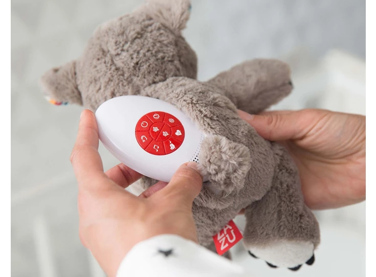 Heartbeat-Coco-Koala