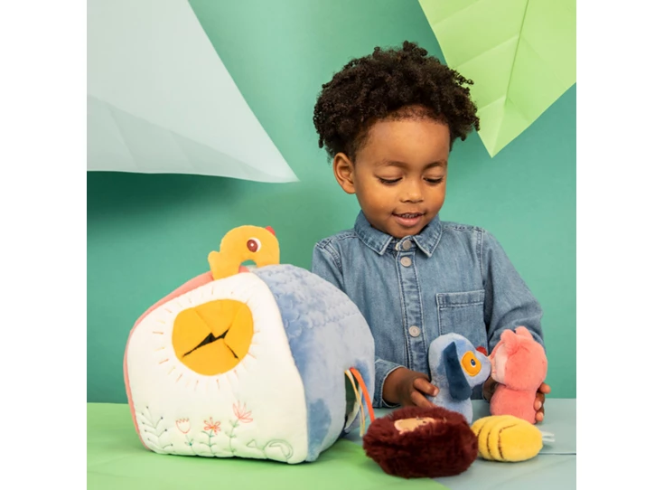 Huis-Jules-en-4-verborgen-rammelaars