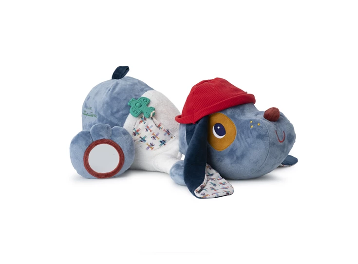 Jules-Grote-Ontdekkingshond