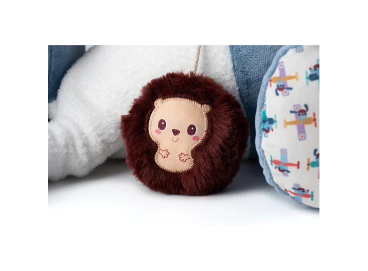 Jules-Grote-Ontdekkingshond