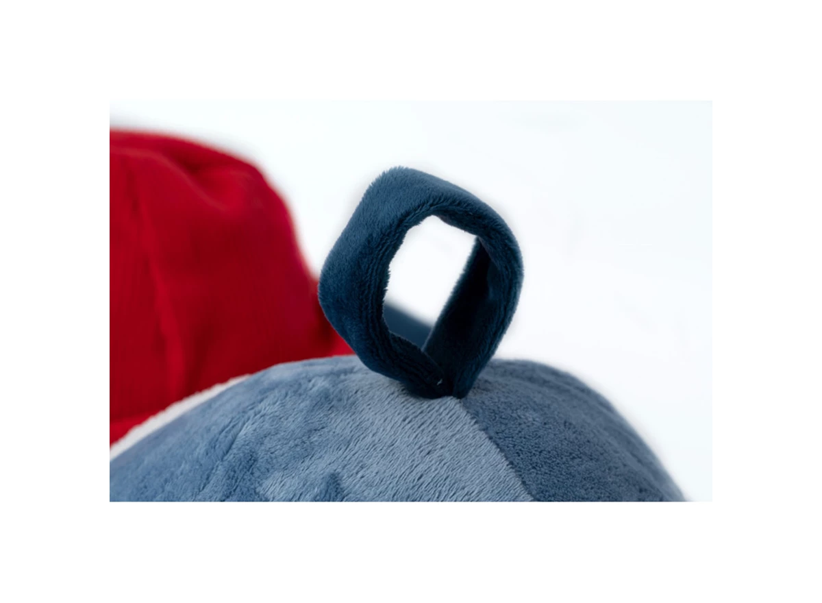 Jules-Grote-Ontdekkingshond