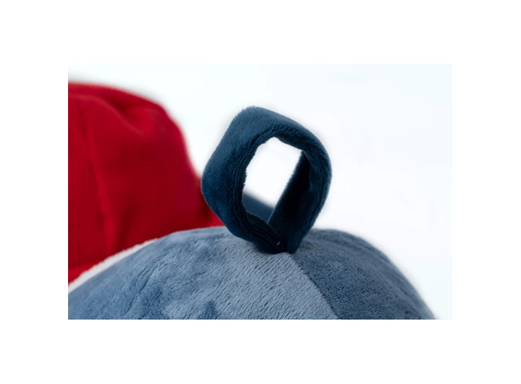 Jules-Grote-Ontdekkingshond