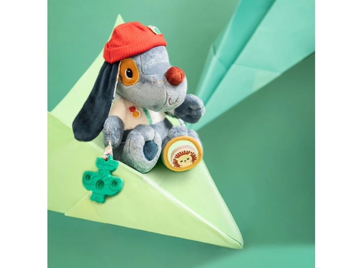 Jules-Multi-Acitiviteitenhond