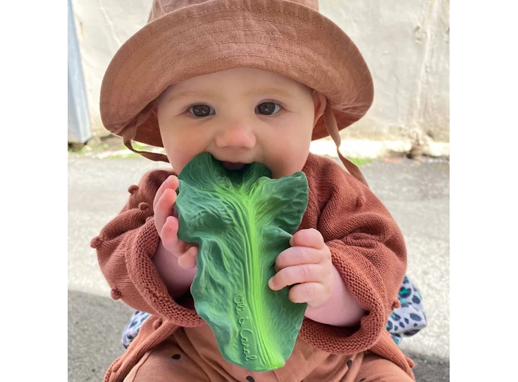 Kendall-de-Boerenkool-Baby-Bijtring