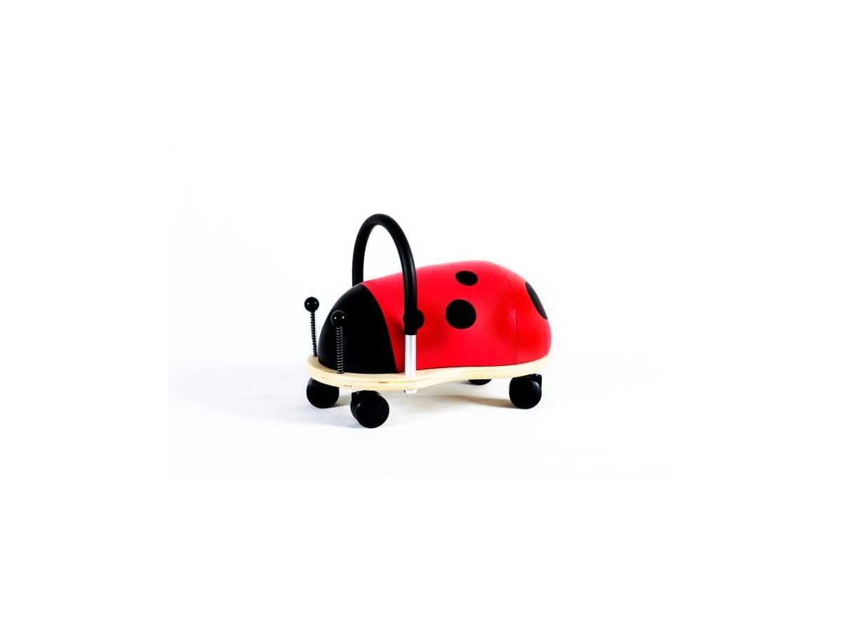 Ladybird-Small-1-3-j