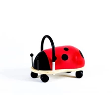 Ladybird-Small-1-3-j