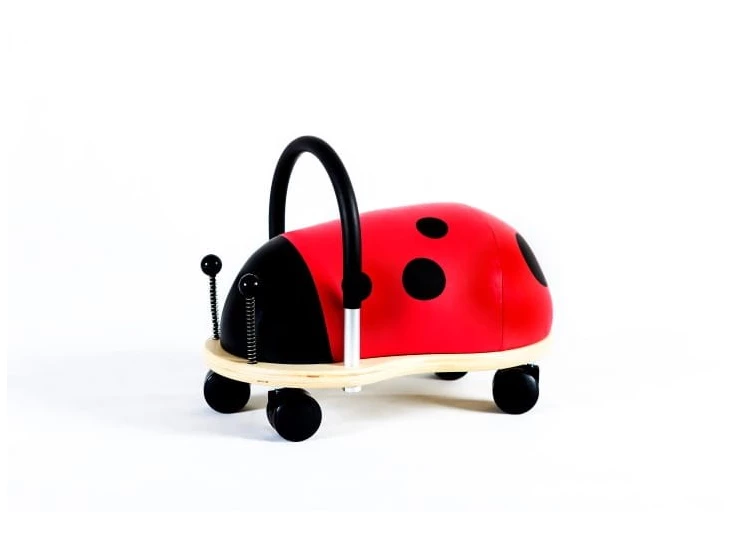 Ladybird-Small-1-3-j