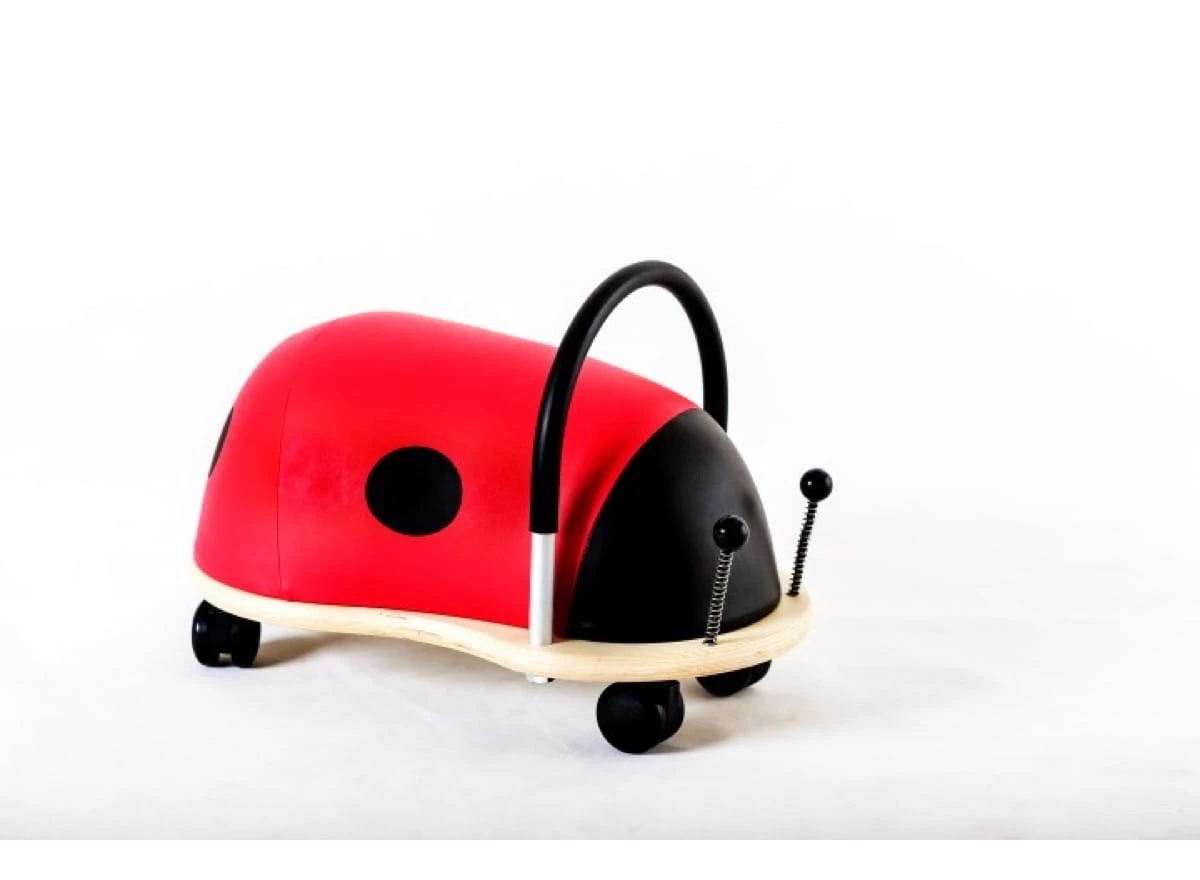 Ladybird-Small-1-3-j