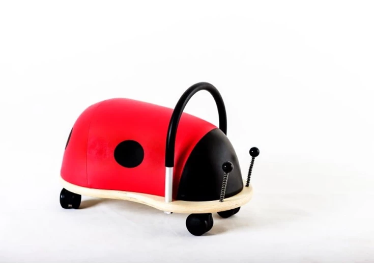 Ladybird-Small-1-3-j