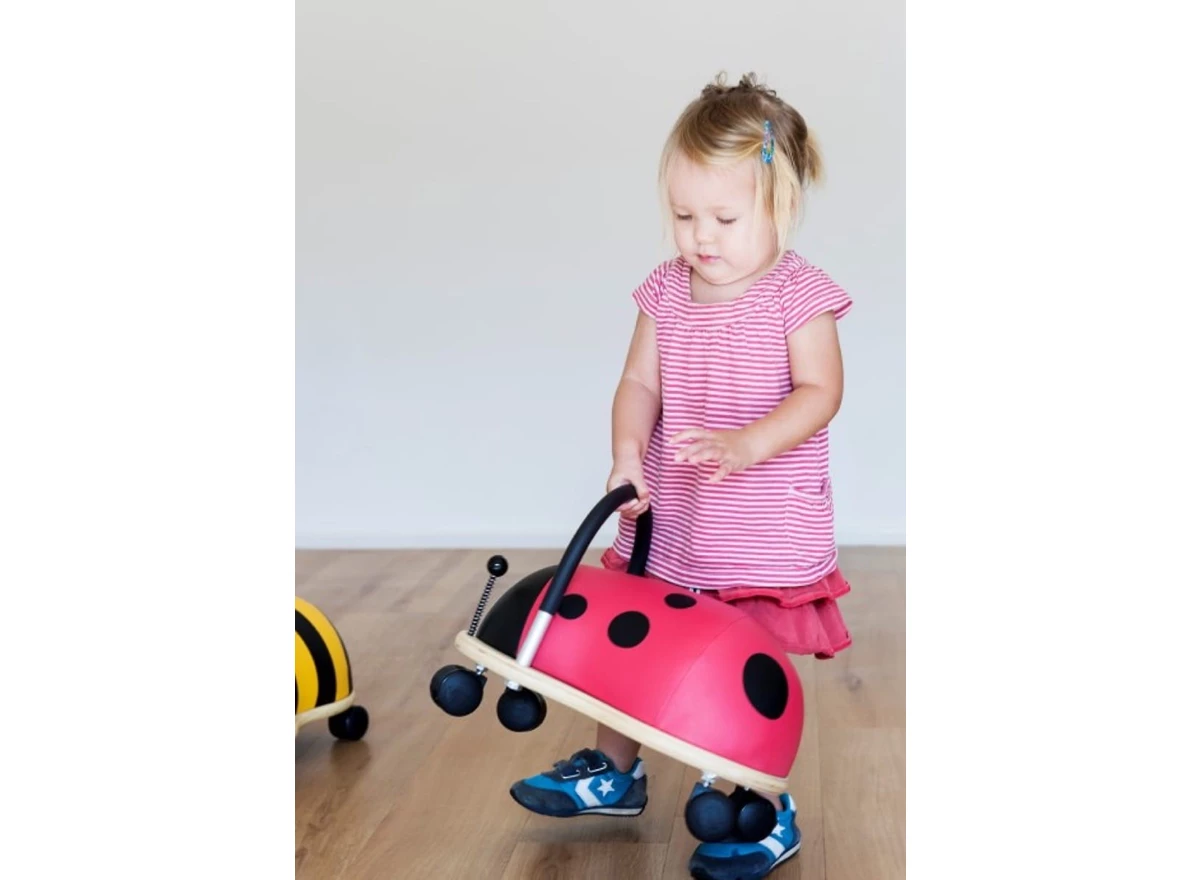 Ladybird-Small-1-3-j