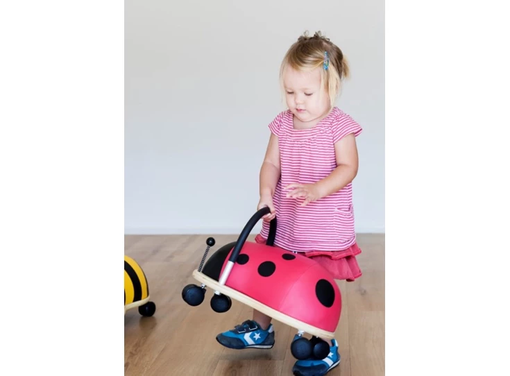 Ladybird-Small-1-3-j