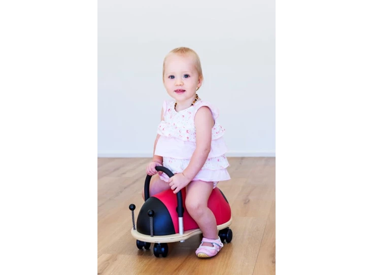 Ladybird-Small-1-3-j