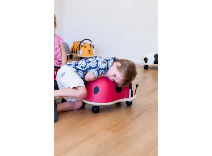 Ladybird-Small-1-3-j