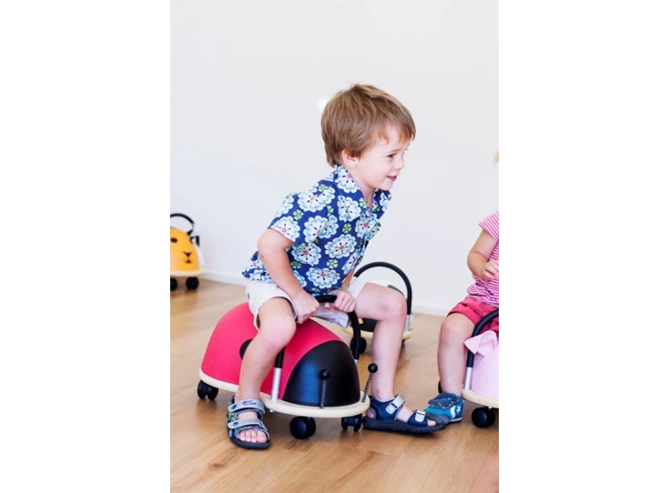 Ladybird-Small-1-3-j