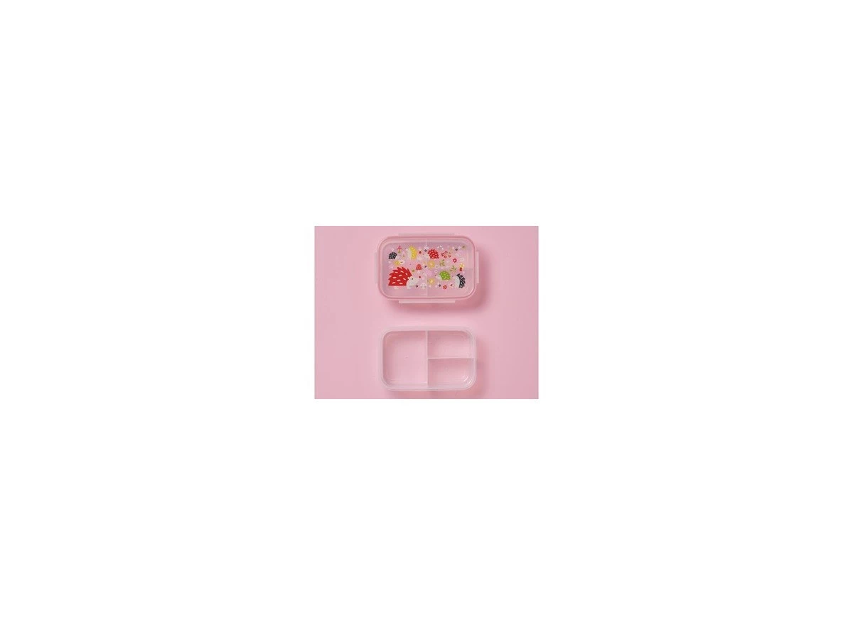 Lunchbox-Hedgehog