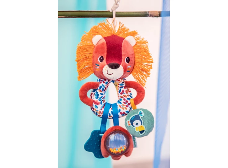 Multi-Activiteiten-Ringen-Jack-de-leeuw