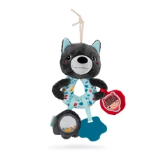 Multi-Activiteiten-Ringen-Louis-de-wolf