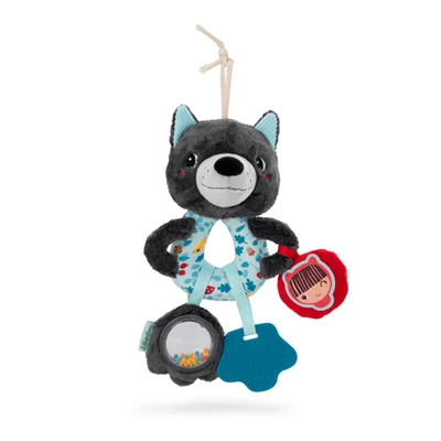 Multi-Activiteiten-Ringen-Louis-de-wolf