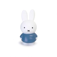 Nijntje-Blauw-Spaarpot-H19-10-CM
