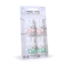 Nijntje-Magneet-2-Roze-2-Groen-in-blister-H4-6-2-5-CM