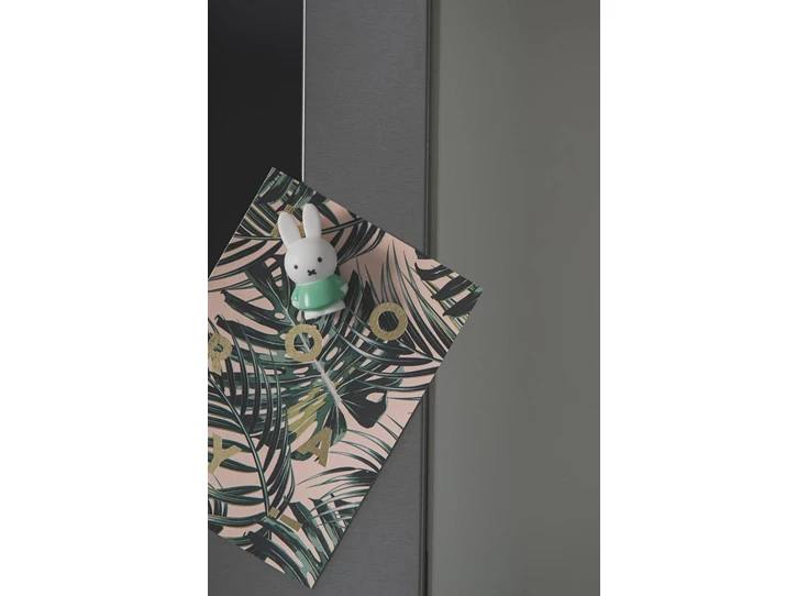 Nijntje-Magneet-2-Roze-2-Groen-in-blister-H4-6-2-5-CM