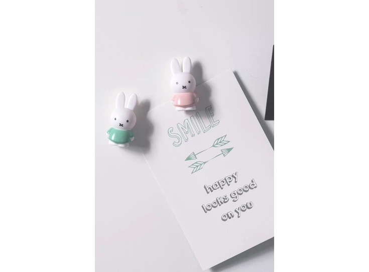 Nijntje-Magneet-2-Roze-2-Groen-in-blister-H4-6-2-5-CM