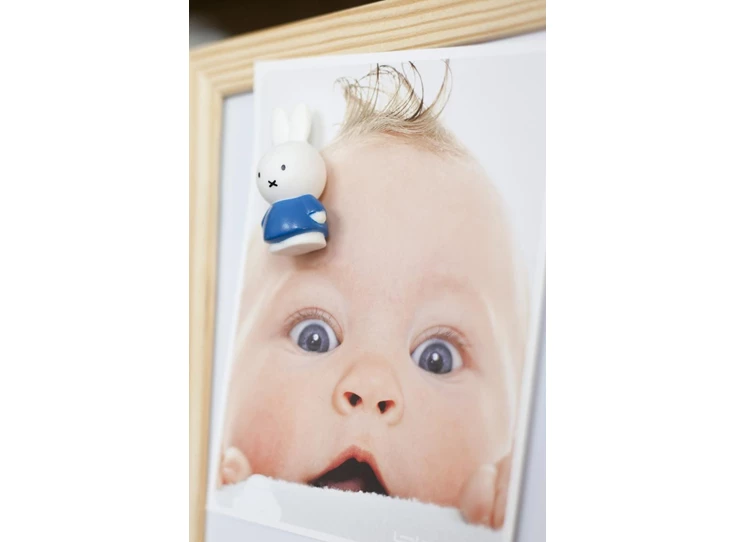 Nijntje-Magneet-4-in-blister-2-Rood-1-Blauw-1-Geel-H4-6-2-5-CM