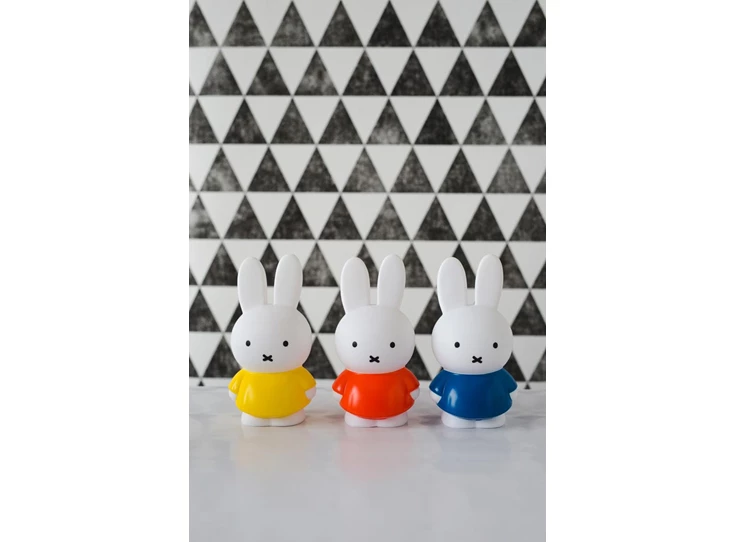 Nijntje-Rood-Spaarpot-H13-5-7-2-CM