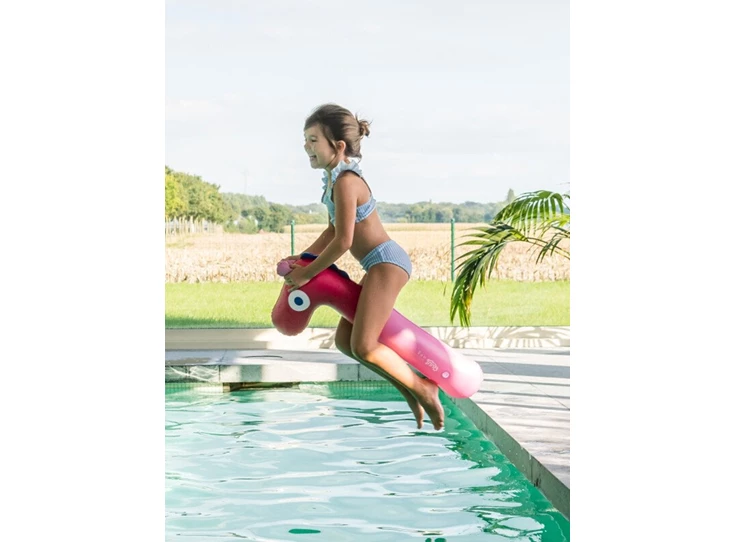 Noodle-friends-Horse