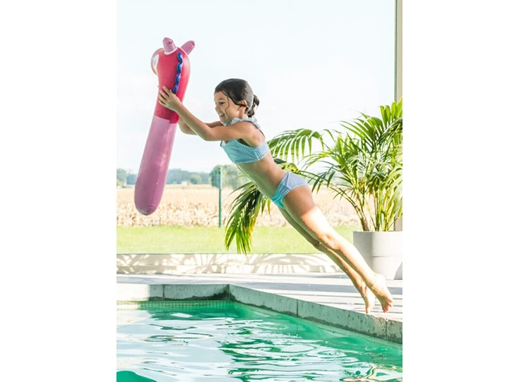 Noodle-friends-Horse