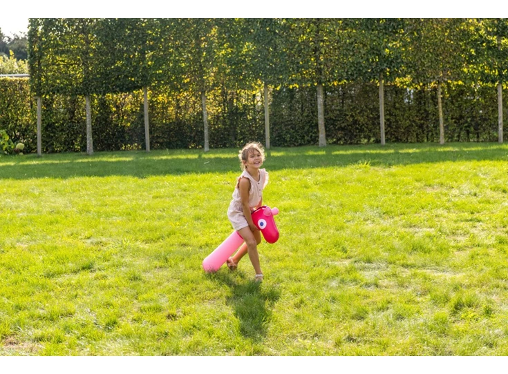 Noodle-friends-Horse