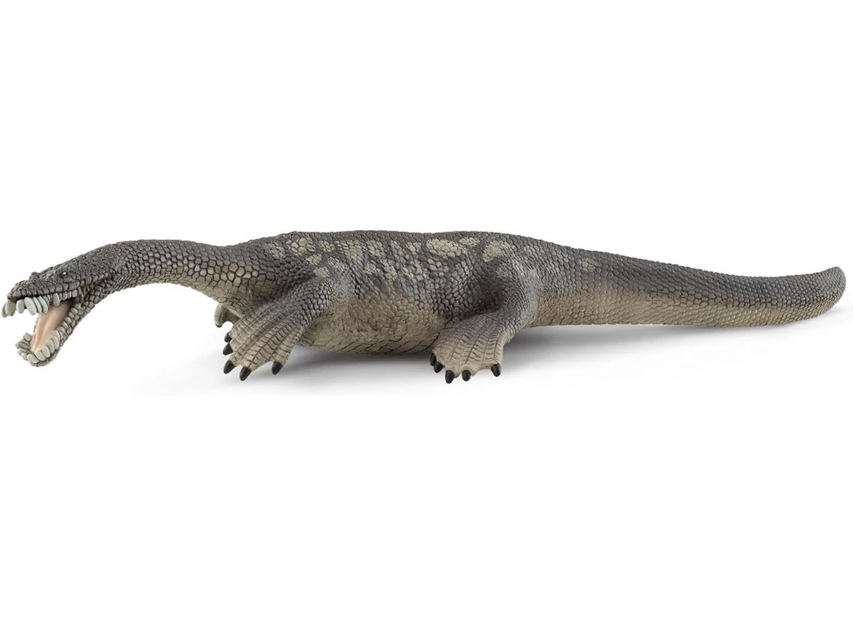 Nothosaurus