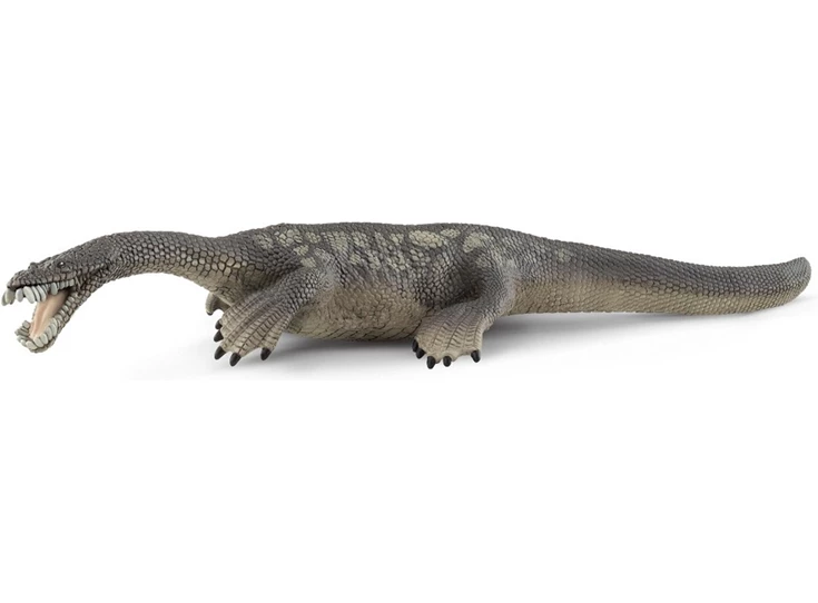 Nothosaurus